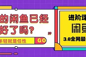 火爆全网的咸鱼玩法进阶课程 免费下载