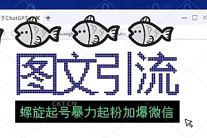 价值1980的图文引流创业粉螺旋起号技术暴力起粉加爆微信 教程免费下载