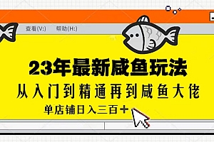 2023全网咸鱼最新玩法单店铺日入300+ 课程免费下载