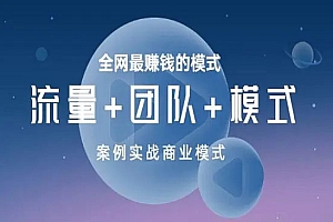 全网最赚钱的模式《流量+团队+模式》案例实战商业模式 免费分享