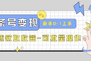 2023头条号实操变现课:新手0-1轻松上手,快速获取收益-可批量操作 课程免费下载