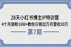 28天小红书博主IP特训营《第7期》:4个月涨粉16W+教你日销过万月营收30万 课程免费下载