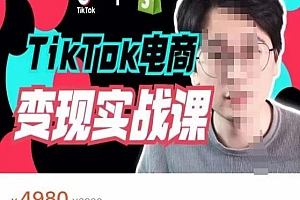 TikTok电商学长Ethan·TikTok电商变现实战课,TikTok运营+Shopify独立站运营+TikTok广告投放 课程免费下载