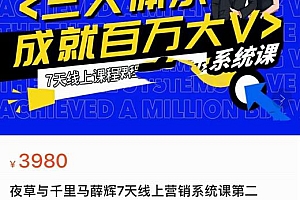 夜草与千里马薛辉7天线上营销系统课第二十二期-10月新课,营销三大体系成就百万大V 课程免费下载