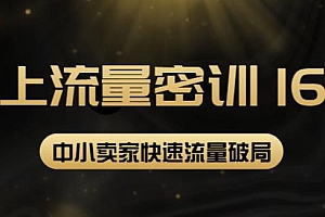 线上流量密训16.0:包含暴力引流10W+中小卖家流量破局技巧等等 免费分享