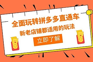 全面玩转拼多多直通车:新老店铺都适用的玩法 12 节精华课 课程免费下载