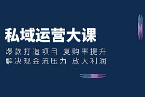私域运营大课:爆款打造项目,复购率提升,解决现金流压力,放大利润 课程免费下载