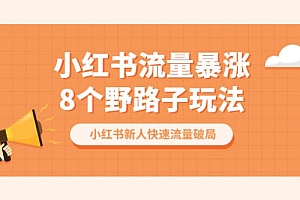小红书流量暴涨 8 个野路子玩法:小红书新人快速流量破局( 8 节课)课程免费分享