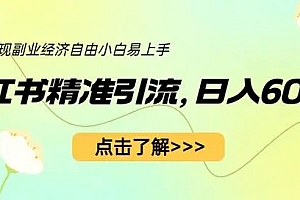 小红书精准引流:轻松实现副业经济自由(教程 + 资源)免费下载