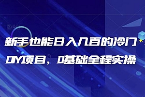 揭秘:新手也能日入几百的冷门 DIY 项目,0 基础全程实操 教程免费分享