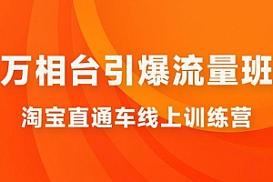 直通车 & 万相台引爆流量班:6 天打通你开直通车 · 万相台的任督二脉 课程免费下载