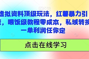 虚拟资料顶级玩法,小红书暴力引流,喂饭级教程零成本,利润任你定 课程免费下载