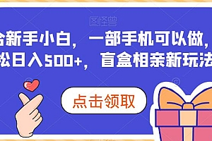 盲盒相亲新玩法:适合新手小白,一部手机可以做,轻松日入 500+ 教程免费下载