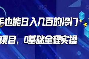 日入几百的冷门 DIY 小项目 0 基础全程实操 教程免费分享