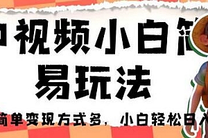 中视频小白简易玩法,操作简单变现方式多,小白轻松日入 500+ 课程免费分享