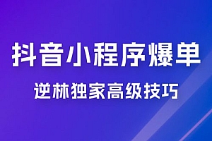 逆林抖音小程序爆单玩法,独家高级技巧,小白也可日入 300+ 教程免费分享