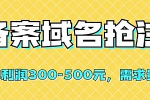 仅揭秘:备案域名抢注,一单利润 300-500 元,需求量大 教程免费下载
