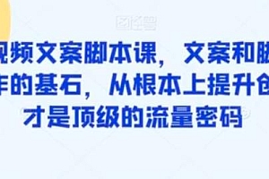 爆款短视频文案脚本课,助你快速提升创作能力,获取顶级的流量密码!教程免费分享