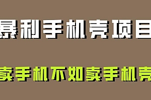 探析手机壳项目:为何卖手机壳比卖手机更具暴利性? 教程免费分享