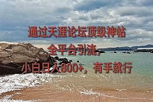 通过天涯论坛顶级神帖全平台引流,小白日入800+,有手就行  教程免费学习