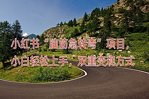 小红书“脑筋急转弯”项目,小白轻松上手,双重变现方式  教程免费学习
