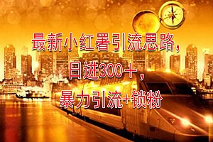 2024最新小红署引流思路,日进300+,暴力引流+锁粉 教程免费学习