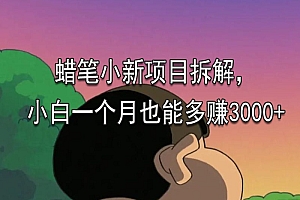 蜡笔小新项目拆解,小白一个月也能多赚3000+ 教程免费学习