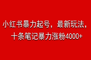 小红书暴力起号,最新玩法,十条笔记暴力涨粉4000+ 课程免费分享