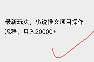 最新玩法,小说推文项目操作流程,月入20000+ 教程免费学习