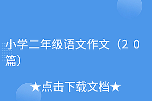 太疯狂了(小学二年级语文作文(20篇))小学二年级语文作文(20篇),二年级语文写作范文上册,