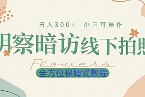 全程干货(明拍暗拍项目0成本投入日入300+小白可操作保姆式全方位教程)明拍暗拍项目0成本投入日入300+小白可操作保姆式全方位教程,明牌与暗牌,