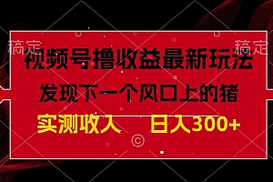 学到了(视频号分成计划最新玩法,单条作品几分钟制作完成,日入300+,过年前最后的冲刺)视频号分成计划最新玩法,单条作品几分钟制作完成,日入300+,过年前最后的冲刺,视频号分成,