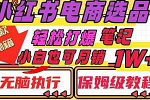 难以置信(小红书电商爆款选品秘籍,帮你轻松打爆笔记,小白也可轻松月销10000+)小红书电商爆款选品秘籍,帮你轻松打爆笔记,小白也可轻松月销10000+,小红书热搜产品,