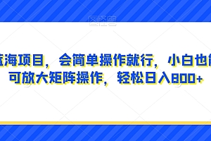 怎么可以错过(超级蓝海项目,会简单操作就行,小白也能做,可放大矩阵操作,轻松日入800+,)超级蓝海项目,会简单操作就行,小白也能做,可放大矩阵操作,轻松日入800+,,蓝海玩法是什么,