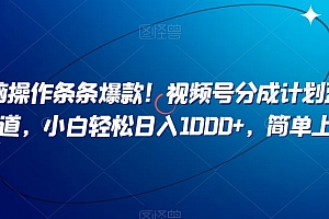 满满干货(无脑操作条条爆款!视频号分成计划蓝海赛道,小白轻松日入1000+,简单上手)无脑操作条条爆款!视频号分成计划蓝海赛道,小白轻松日入1000+,简单上手,视频号分为几大类别,