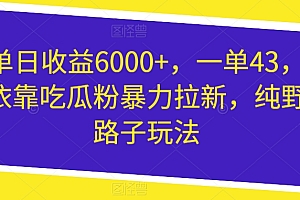 一看就会(单日收益6000+,一单43,依靠吃瓜粉暴力拉新,纯野路子玩法)单日收益6000+,一单43,依靠吃瓜粉暴力拉新,纯野路子玩法,单日薪资怎么算,