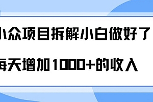 墙裂推荐(小众项目拆解,小白做好了每天可增加1000多的收入)小众项目拆解,小白做好了每天可增加1000多的收入,有什么小众赚钱的工作,