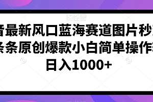 深度揭秘(抖音最新风口蓝海赛道图片秒变视频条条原创爆款小白简单操作轻松日入1000+)抖音最新风口蓝海赛道图片秒变视频条条原创爆款小白简单操作轻松日入1000+,短视频的蓝海赛道和红海赛道,