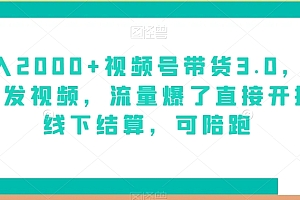 原创(日入2000+视频号带货3.0,无敌代发视频,流量爆了直接开播,线下结算,可陪跑)日入2000+视频号带货3.0,无敌代发视频,流量爆了直接开播,线下结算,可陪跑,视频号带货平台,