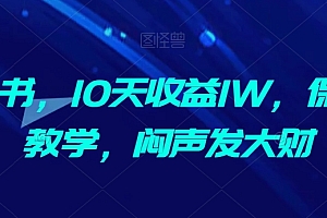 全程干货(AI抄书,10天收益1W,保姆及教学,闷声发大财)AI抄书,10天收益1W,保姆及教学,闷声发大财,ai写文章软件介绍怎么写,