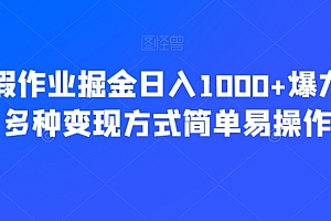 燃爆了(靠寒假作业掘金日入1000+爆力引流多种变现方式简单易操作)靠寒假作业掘金日入1000+爆力引流多种变现方式简单易操作,寒假作业怎么做?,