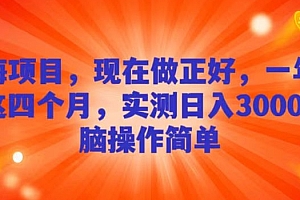 一看就会(蓝海项目,现在做正好,一年就做这4个月,实测日入3000+,无脑简单操作!)蓝海项目,现在做正好,一年就做这4个月,实测日入3000+,无脑简单操作!,蓝海项目管理有限公司,