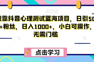 硬核推荐(我靠抖音心理测试蓝海项目,日引500+粉丝,日入1000+,小白可操作,无需门槛(附3G素材))我靠抖音心理测试蓝海项目,日引500+粉丝,日入1000+,小白可操作,无需门槛(附3G素材),抖音心理测试小程序怎么赚钱,