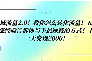 干货满满(私域流量2.0!教你怎么转化流量!五年网创经验告诉你当下最赚钱的方式!上车一天变现2000!)私域流量2.0!教你怎么转化流量!五年网创经验告诉你当下最赚钱的方式!上车一天变现2000!,私域流量转化有哪些方法,具体怎么实现?,