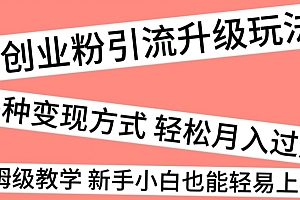 满满干货(创业粉引流升级玩法,多种变现方式轻松月入过万,保姆级教学新手小白也能轻易上手!)创业粉引流升级玩法,多种变现方式轻松月入过万,保姆级教学新手小白也能轻易上手!,创业粉转化,