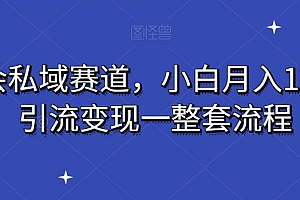 硬核推荐(读书会私域赛道,小白月入10万+,引流变现一整套流程)读书会私域赛道,小白月入10万+,引流变现一整套流程,读书会怎么赚钱,