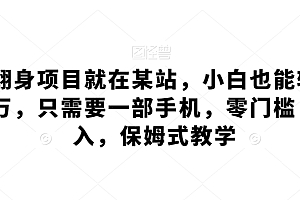 这都可以(最新翻身项目就在某站,小白也能轻松周入过万,只需要一部手机,零门槛,零投入,保姆式教学)最新翻身项目就在某站,小白也能轻松周入过万,只需要一部手机,零门槛,零投入,保姆式教学,翻身技巧有哪些,