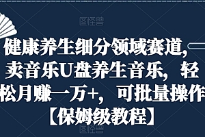 速看(健康养生细分领域赛道,卖音乐U盘养生音乐,轻松月赚一万+,可批量操作【保姆级教程】)健康养生细分领域赛道,卖音乐U盘养生音乐,轻松月赚一万+,可批量操作【保姆级教程】,我想听养生音乐,