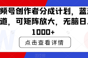 居然可以这样(视频号创作者分成计划,蓝海赛道,可矩阵放大,无脑日入1000+)视频号创作者分成计划,蓝海赛道,可矩阵放大,无脑日入1000+,视频号打造,