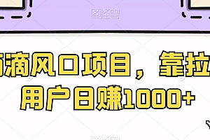 学到了(滴滴风口项目,靠拉新用户日赚1000+)滴滴风口项目,靠拉新用户日赚1000+,滴滴拉新好做吗,